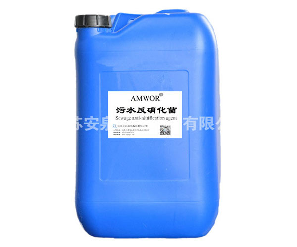 反硝化菌