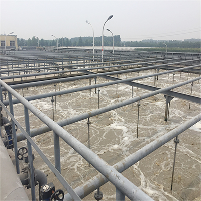 旋（xuán）流曝氣器在澱粉加（jiā）工廢水中的應用